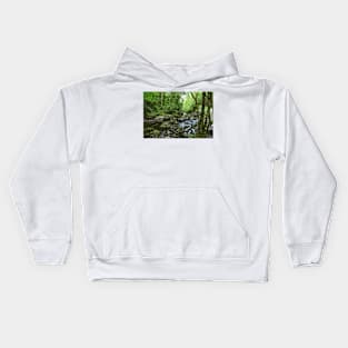 River through the Forest Kids Hoodie